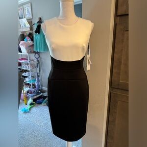 Calvin Klein sheath dress
